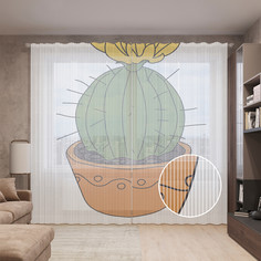 Тюль вуаль на шторной ленте с принтом JoyArty "Кактус с цветком", 310х265 см