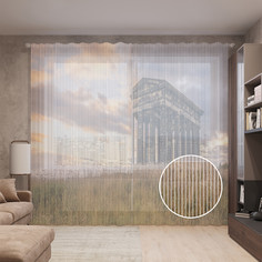 Тюль вуаль на шторной ленте с принтом JoyArty "Отголосок древности", 310х265 см