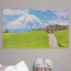 Придверный коврик JoyArty "Чайные поля в Японии" резиновая основа 75x45 см