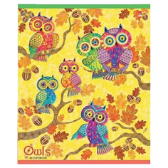 Тетрадь общая в клетку Альт Сказочные совы яркие 7-48-013, 48 л., 1 шт.