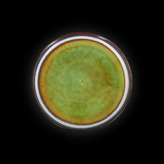 Тарелка мелкая 8,5" 223мм, синий+зеленый "Corone Verde" HL482490 No Brand