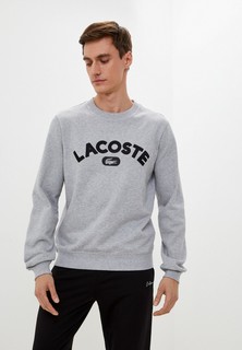 Свитшот Lacoste