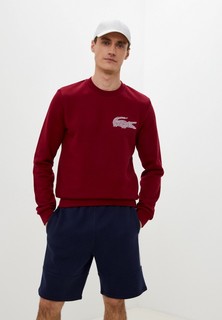 Свитшот Lacoste