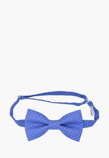 Бабочка Rainbowtie
