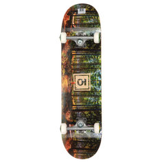 Скейтборд Юнион Serenity 81x21см мультицвет