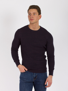 Джемпер мужской DAIROS фиолетовый