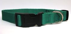 Ошейник для собак, XS-S: 20-30 см, 25 мм, изумрудный No Brand