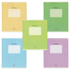 Тетради общие Альт Люкс А5 48 листов, клетка 10 шт