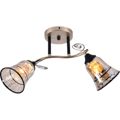 Люстра потолочная Reluce 05097-0.3-02