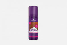 Тонирующий мусс 3в1 Schwarzkopf & Henkel