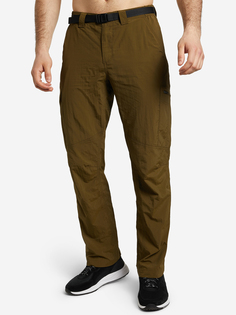 Брюки мужские Columbia Silver Ridge Cargo Pant, Зеленый, размер 54/32