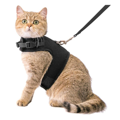 Шлейка для кошек, кроликов с поводком, Pets & Friends PF-CH-05, размер M, черный