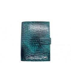 Обложка для автодокументов унисекс PETEK 595.091.09 изумрудная/лаковая,