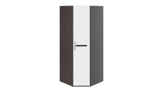 Шкаф угловой с 1-ой глухой дверью ТриЯ «Фьюжн» Triya