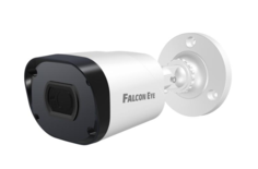 IP-камера Falcon Eye FE-IPC-B5-30pa белый (FE-IPC-B5-30PA)