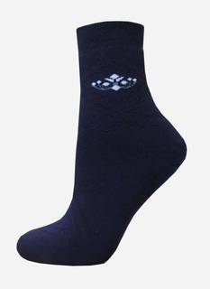 Носки женские Брестские ARCTIC 15С1408 синие 25