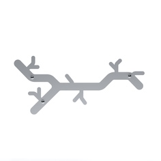 Настенная вешалка в прихожую для верхней одежды и аксессуаров TEMPACHE "Веточка", серебро