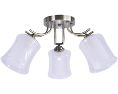 Люстра потолочная Reluce 07955-0.3-03