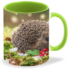 Кружка CoolPodarok Ежик с ягодами