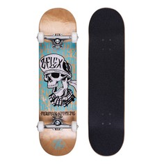 Скейтборд Z-Flex Skull 80x20,32 см white/blue/brown