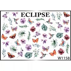 Слайдер Eclipse W1158