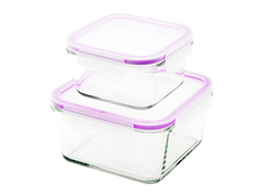 Набор стеклянных пищевых контейнеров Eley 450 мл и 1030 мл, ELSTH009P