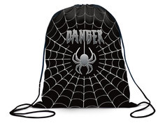 Мешок для обуви Brauberg Dangerous Spider 270911