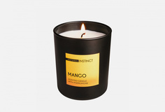 Свеча ароматическая Natural Instinct
