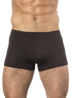 Трусы мужские UOMO FIERO 025FH коричневые 56 RU