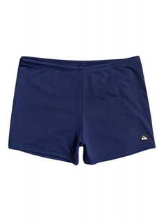 Мужские Плавки Everyday Swimmer Quiksilver