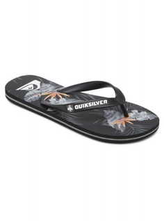 Мужские Сланцы Molokai Everyday Paradise Quiksilver