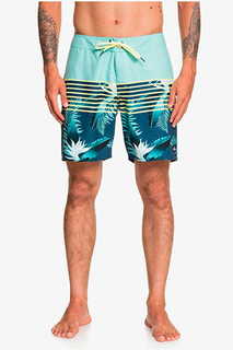 Мужские Бордшорты Everyday Lightning 17" Quiksilver