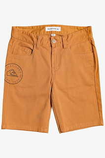 Детские Шорты Pebbly Blu 17" Quiksilver