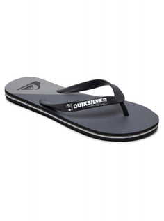 Мужские Сланцы Molokai New Wave Quiksilver