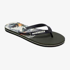 Мужские Сланцы Molokai Jungle Swell Quiksilver