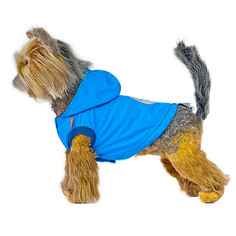 Куртка для собак Happy Puppy Дарк скай, унисекс, синий, длина спины 28 см