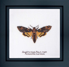 Набор для вышивания на льне THEA GOUVERNEUR "Ястреб мотылёк", канва лён 32 ct, арт.563