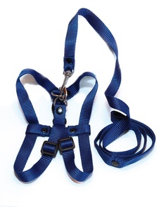 Комплект Томикс нейлоновый для собак 20 мм, шлейка + поводок 1.3 м, цвет в ассортименте