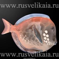 Статуэтка «Рыба-диск розовая». ИФЗ Императорский фарфор