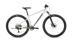 Велосипед 29" Forward Sporting 29 XX D Серебро/Фиолетовый 2022 г 17" RBK22FW29984