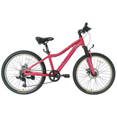 Подростковый горный (MTB) велосипед TechTeam Elis 24 disc (2022)