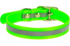 Ошейник Каскад со светоотражающей полосой зеленый для собак (15 мм (21-30 см), Зеленый)