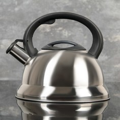 Чайник со свистком Доляна Рио, 2,8 л, фиксированная ручка, цвет матовый No Brand