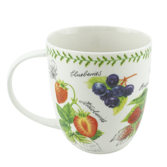 Кружка KORALL Fruit Garden 420 мл в ассортименте Коралл