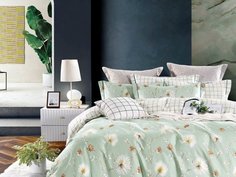 КПБ Евро, печатный сатин 1695-6 Asabella