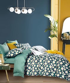 КПБ Евро, печатный сатин 1594-6 Asabella