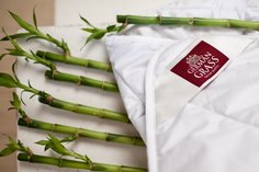 Одеяло BAMBOO GRASS легкое 160х220