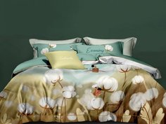 КПБ евро, фланель 1672-6 Asabella