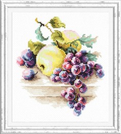 Набор для вышивания крестом Чудесная игла "Виноград и яблоки" 50-05, 16х18 см.