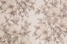 Обои PC71575-22 Prestige Color Floral Charm 1,06м х 10,05м винил на флизелине